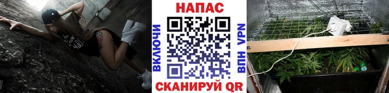 МАРИХУАНА THC 21%  как найти закладки  Нижнекамск 